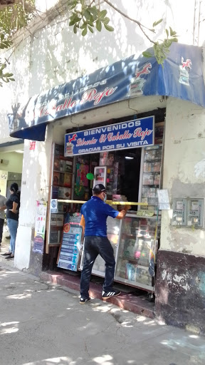 Librería El Caballo Rojo