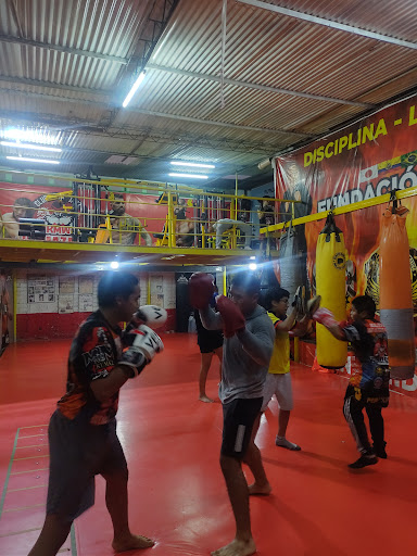 Kumazawa Piura MMA Kick boxing