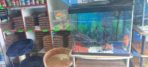 ACUARIO SOFYAND PET SHOP