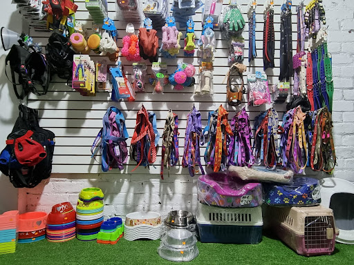 Pet Shop Papá Lucho