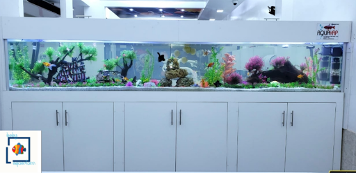 Baby Aquarium (acuario)