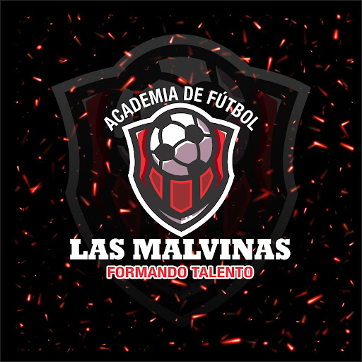 ACADEMIA DE FÚTBOL LAS MALVINAS PIURA